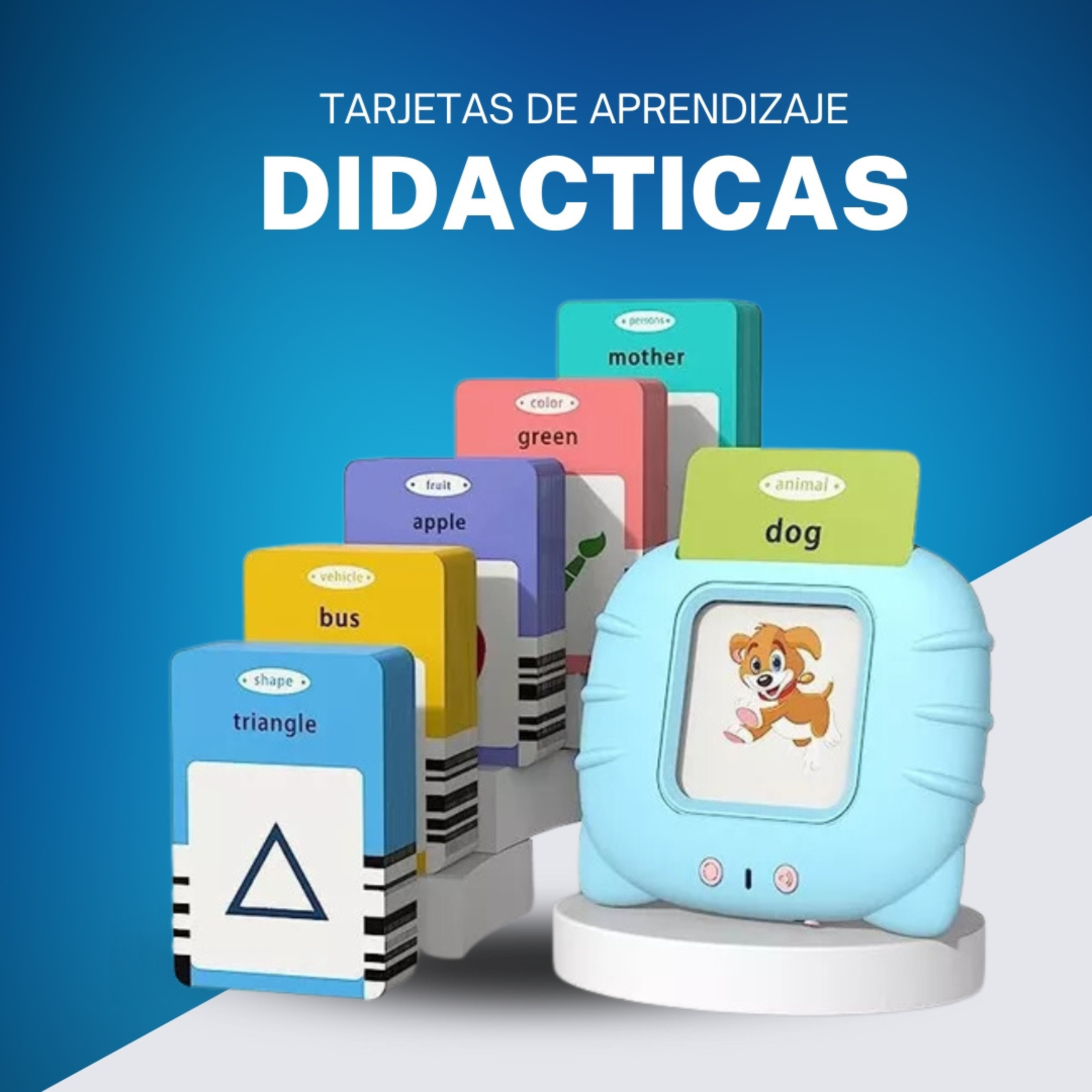 Tarjetas De Aprendizaje Didácticas